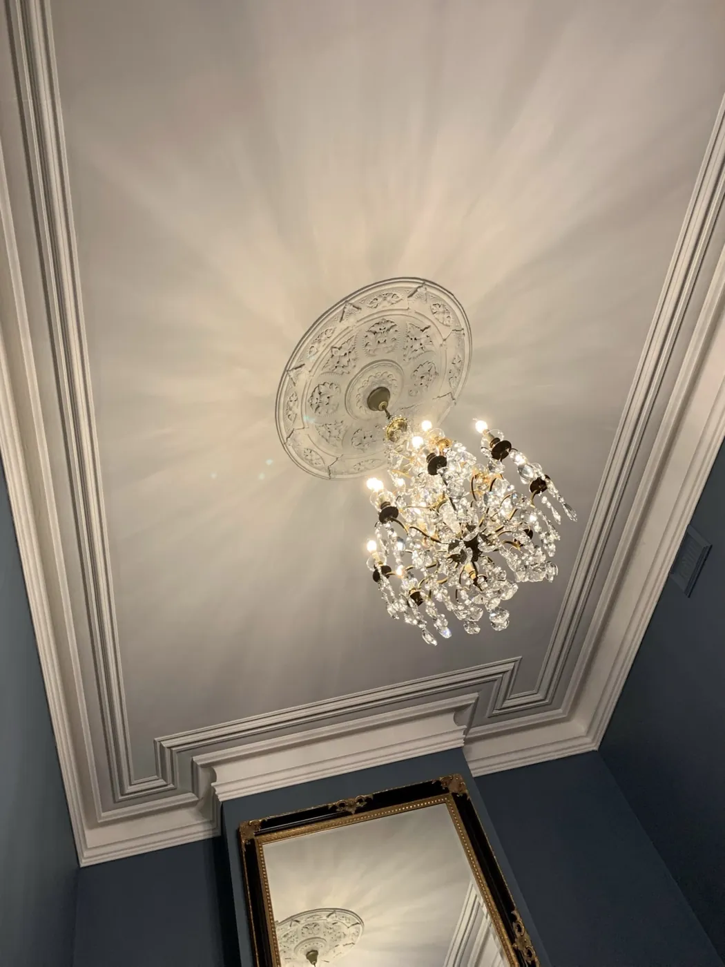 Ornate plaster ceiling rose and cornice in a period Melbourne home, painted off white above deep blue walls