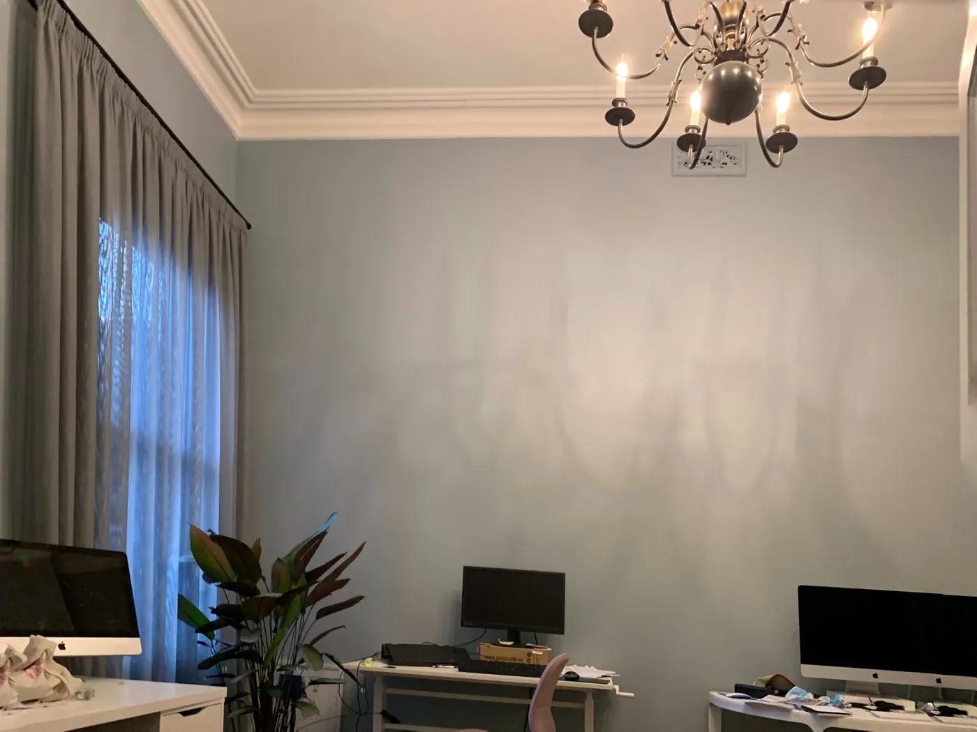 The same study from the other side, blue grey wall under a white cornice and chandelier, St Kilda